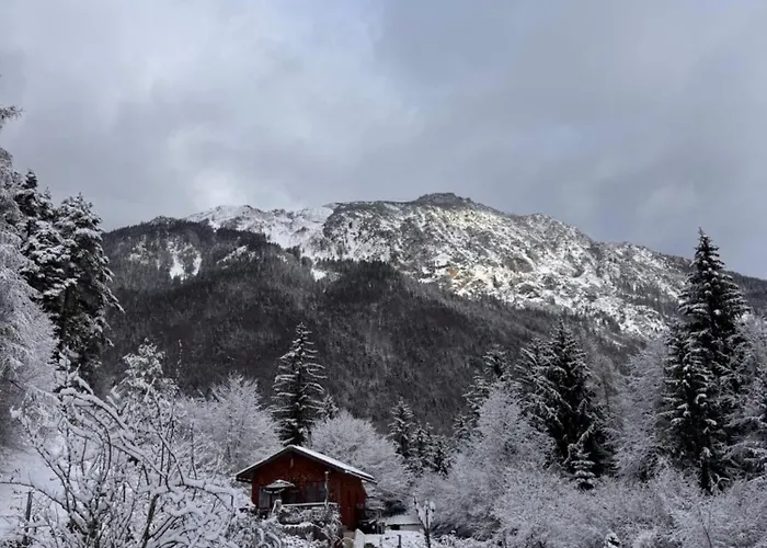 Jurte In Den Bergen Campo de lujo Bad Reichenhall